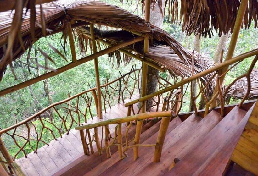 منتجع Eco Village