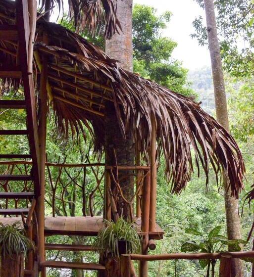 منتجع Eco Village