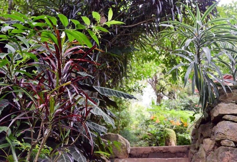 منتجع Eco Village