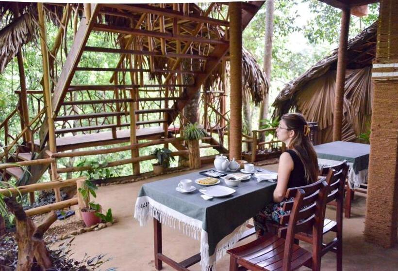 منتجع Eco Village