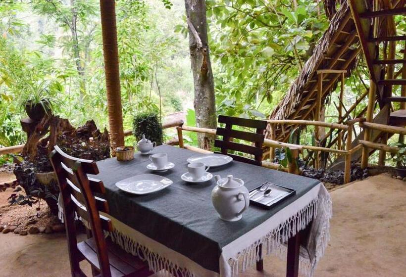 منتجع Eco Village