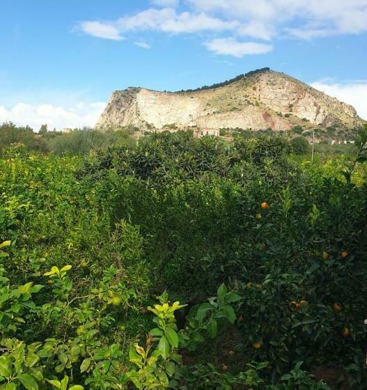 Villa Marta A Due Passi Dalla Clinica Ortopedica Rizzoli E Da Villa Santa Teresa
