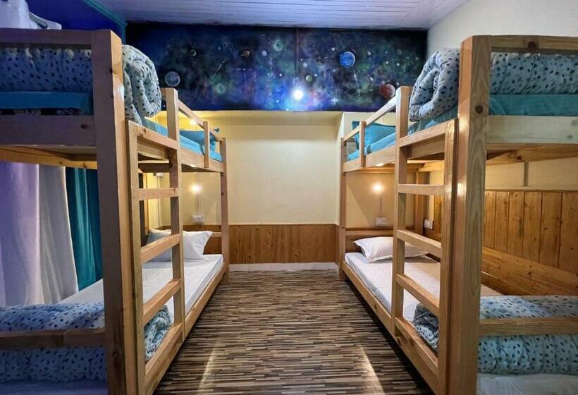 هاستل The Vagabond Manali