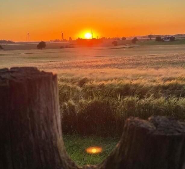 בית מלון כפרי Hammenhögs Gästgivaregård