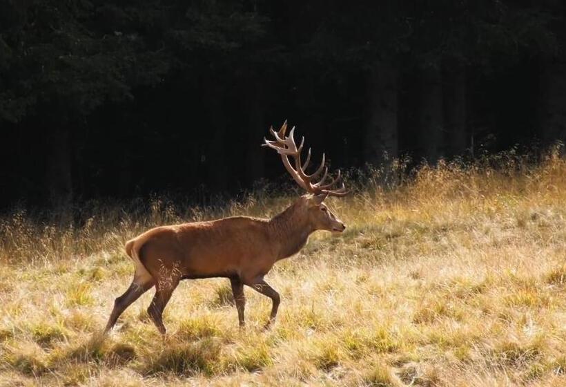 Отель Il Canto Degli Uccelli