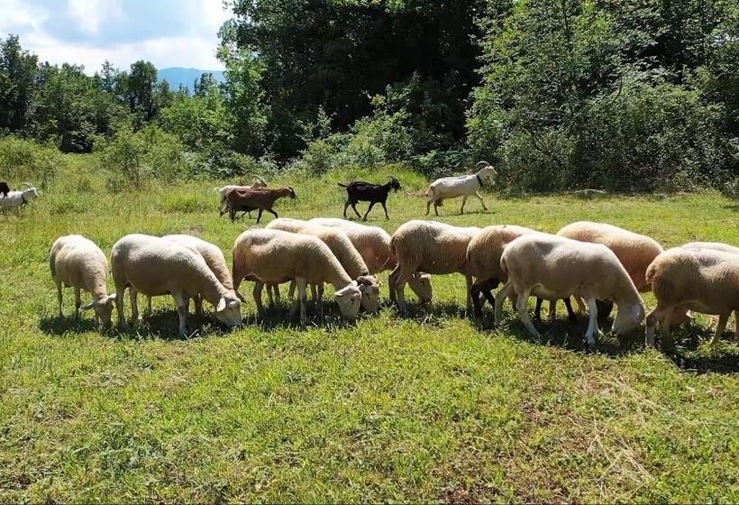 Отель Il Canto Degli Uccelli