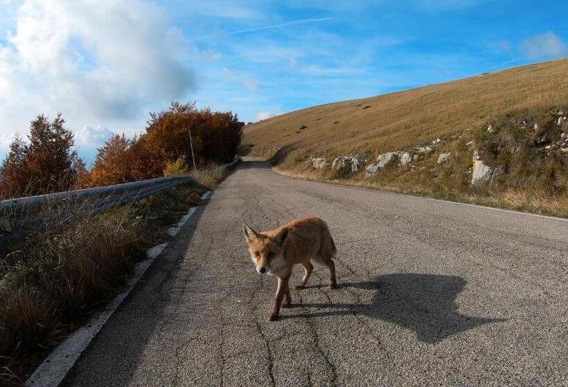 Отель Il Canto Degli Uccelli