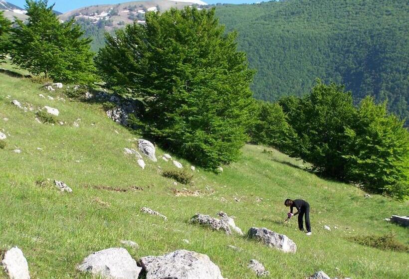 Отель Il Canto Degli Uccelli