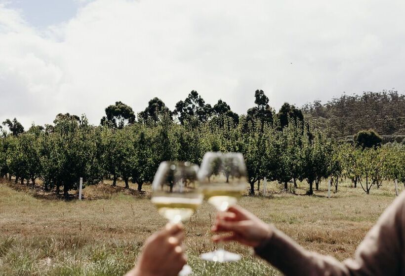 בית מלון כפרי Iron Creek Bay Estate