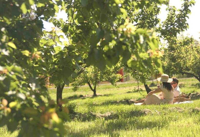 בית מלון כפרי Iron Creek Bay Estate