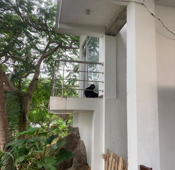 Jungle Beach Restaurant And Hotel Jbr