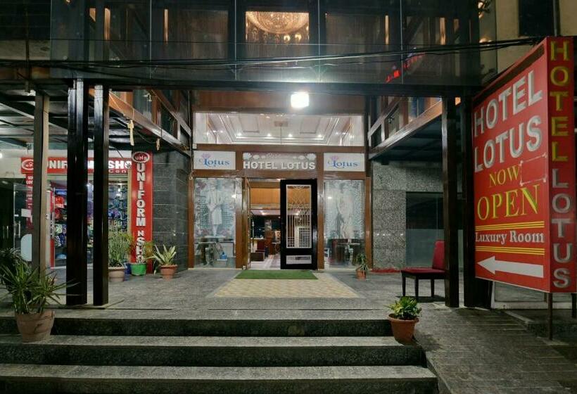 בית מלון כפרי Lotus Paradise