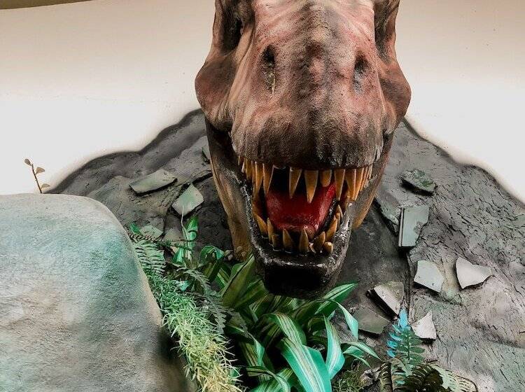 בית מלון כפרי Recanto Dos Dinossauros