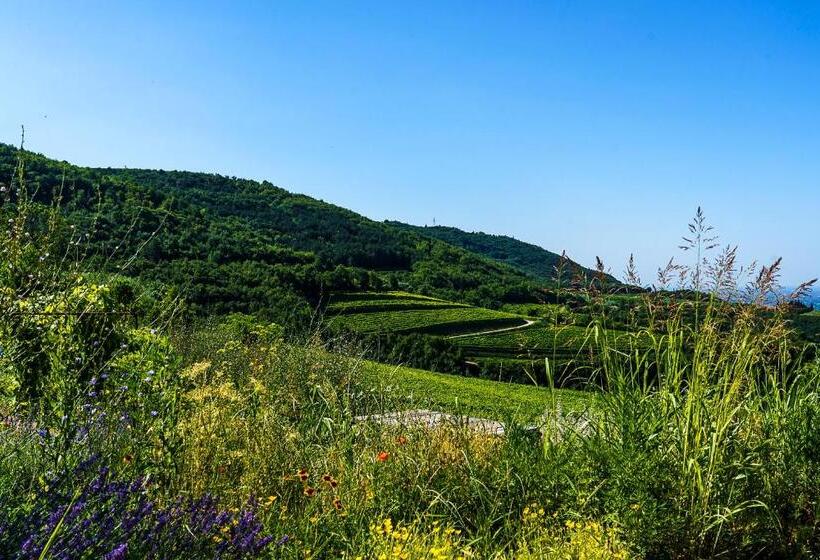 Отель Villa Balis Crema Verona Hills Adults Only