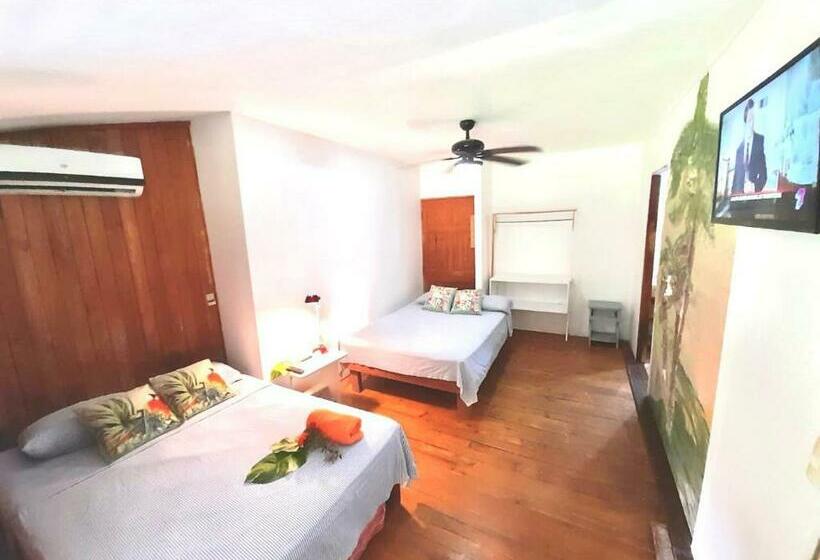 펜션 Cabinas Flamingo