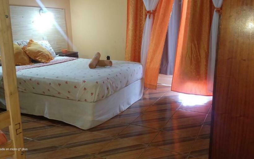 ペンション Hostel Damaris