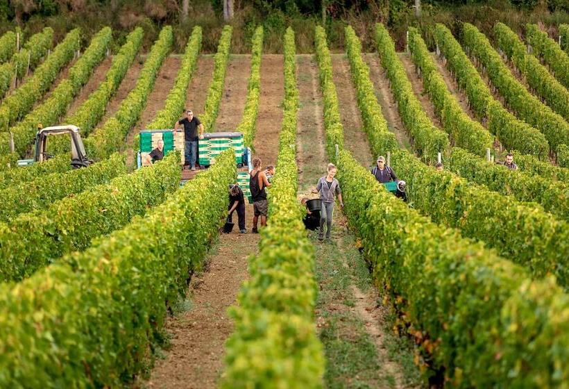 مبيت وإفطار Petit Monlot   Saint Emilion