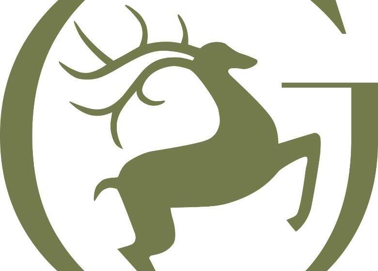 Boutiquehotel Zum Goldenen Hirschen