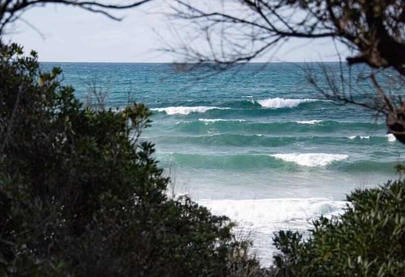 ホテル Mariva Dune Suites