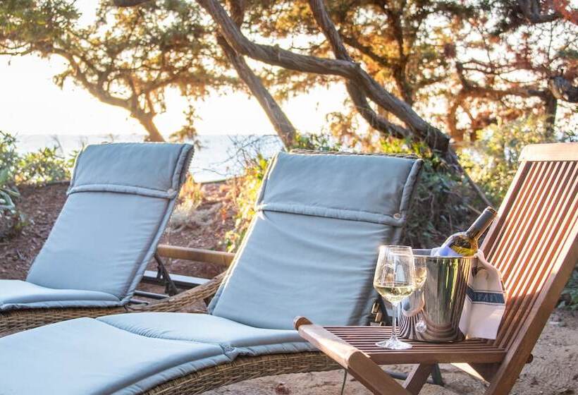 ホテル Mariva Dune Suites