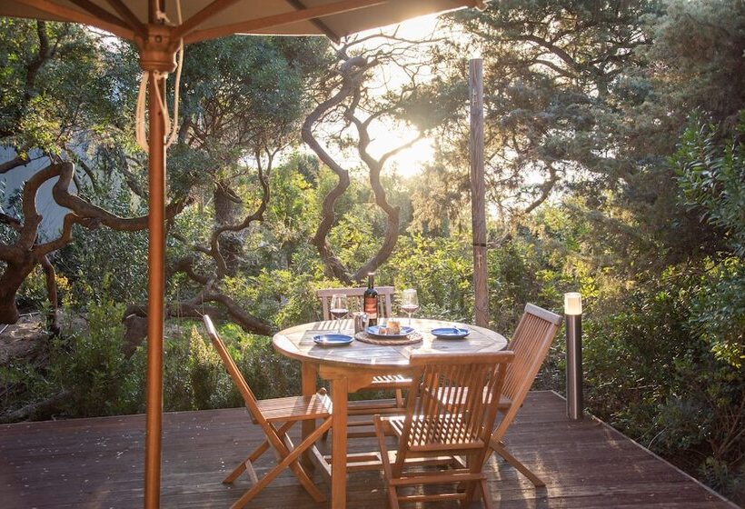 فندق Mariva Dune Suites