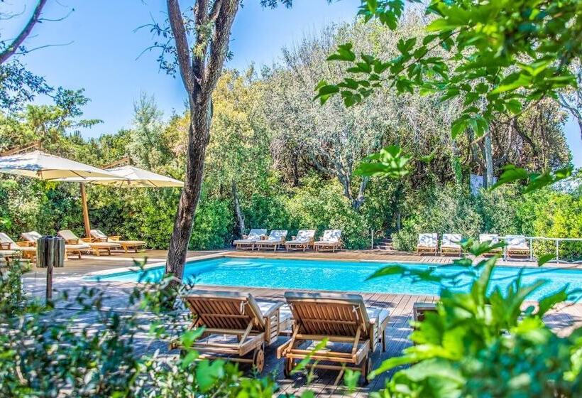 ホテル Mariva Dune Suites