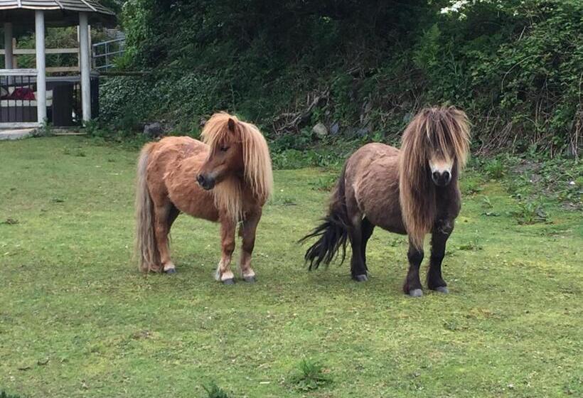 בית מלון כפרי Miners Hut