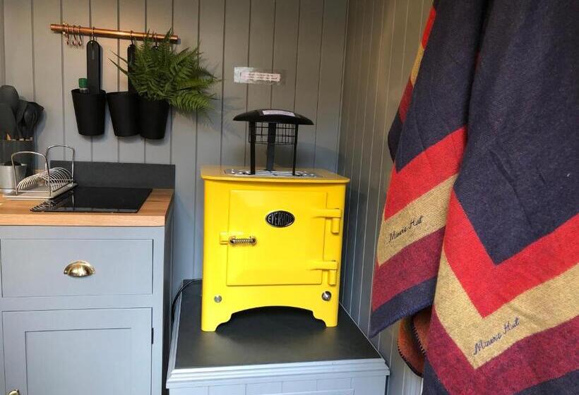 בית מלון כפרי Miners Hut