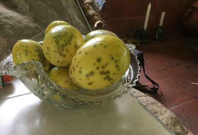 Пансион Finca La Belleza Villeta