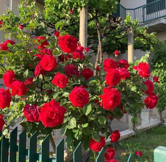 פנסיון L Acqua E La Pietra