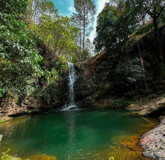 Shivoham Himalayan Resort