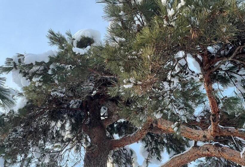 Den S Hotel Yonezawa