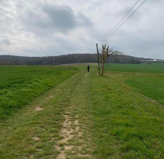 צימר Yxie   Manoir Des Arts