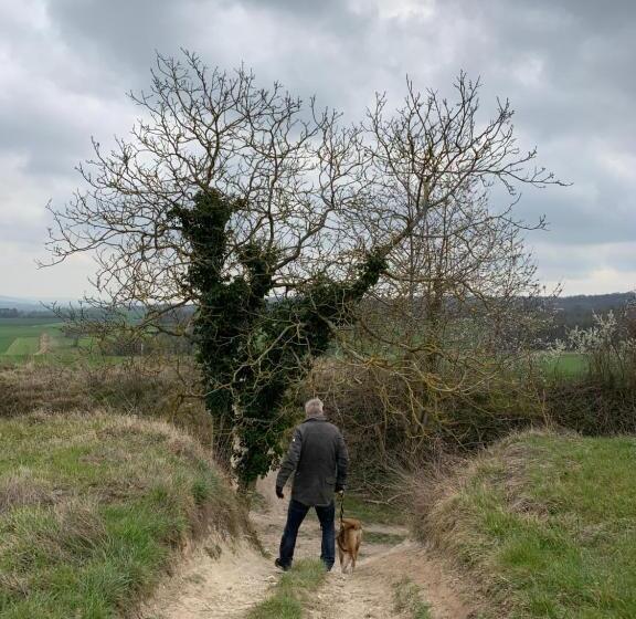 צימר Yxie   Manoir Des Arts