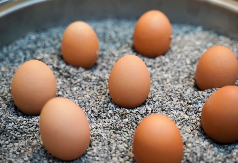 Citadines South Vienna