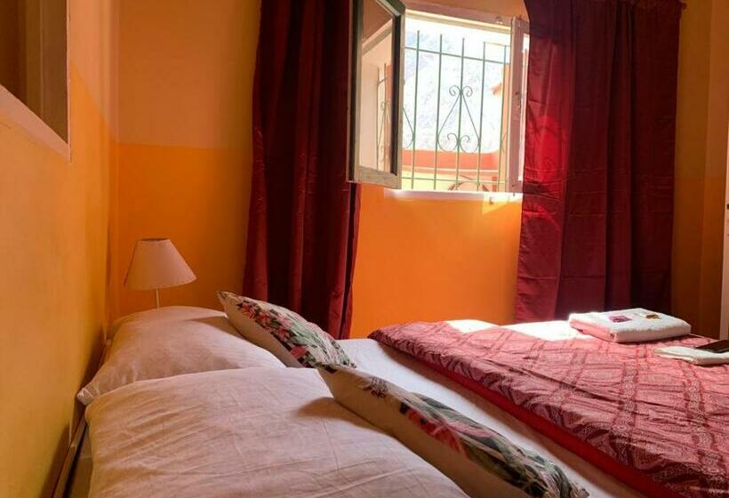 فندق Cactus Cerro