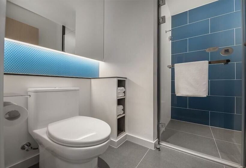 酒店 Holiday Inn Express Meishan Dongpo, An Ihg