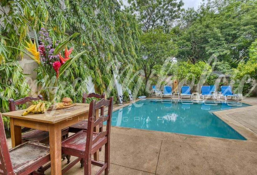 בית מלון כפרי Looking Good Surf House San Juan Del Sur