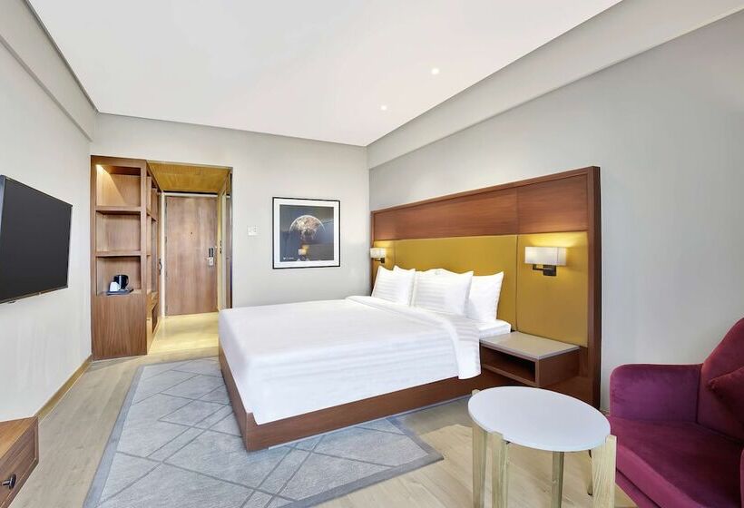 Radisson Hotel Nathdwara