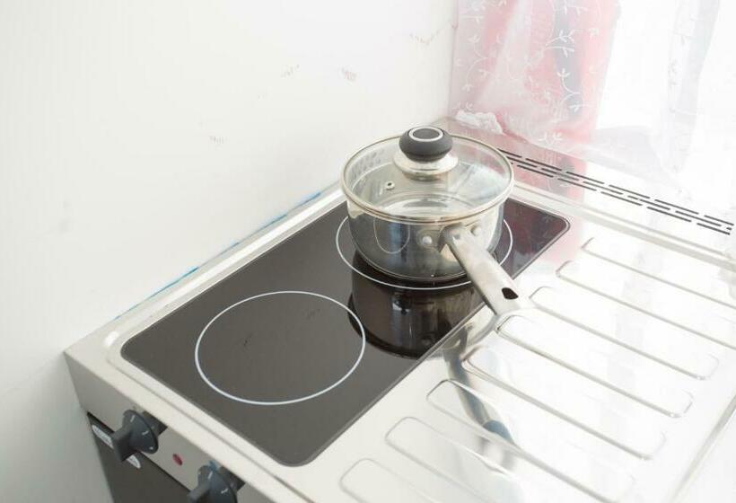 פנסיון Heathrow Windsor Apart