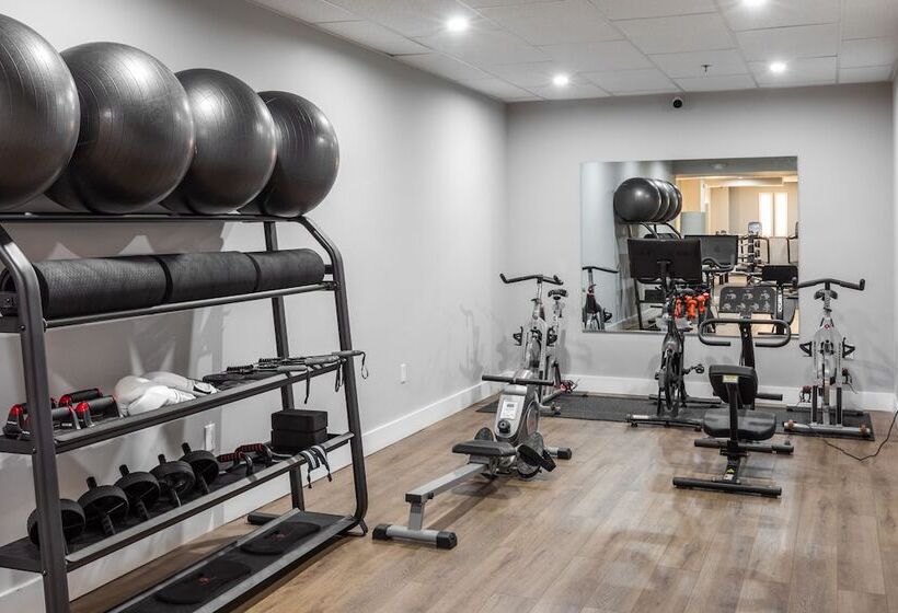 The Ledger Residences By Sosuite   Old City