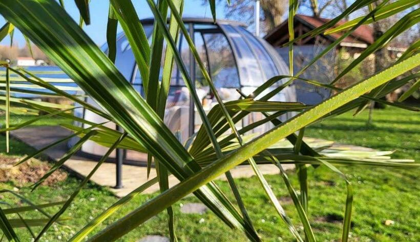 Bed and Breakfast Le Dôme Du Lac