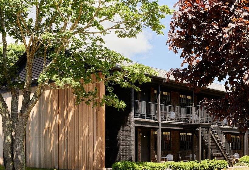 酒店 Bluebird Dennisport