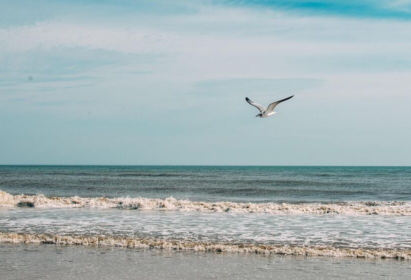 酒店 Bluebird Dennisport