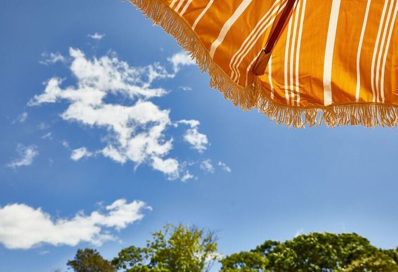 酒店 Bluebird Dennisport