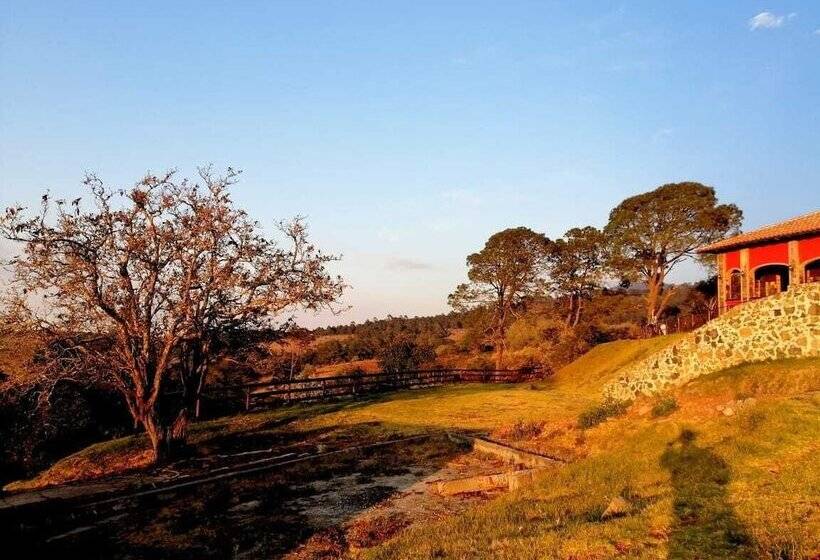 ホテル Finca Dragón