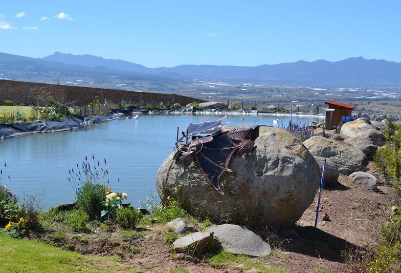 ホテル Finca Dragón