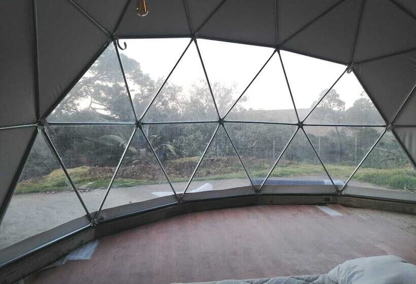 ホテル Finca Dragón