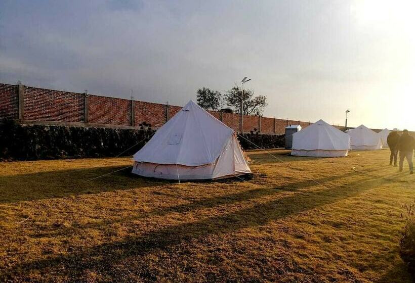 ホテル Finca Dragón