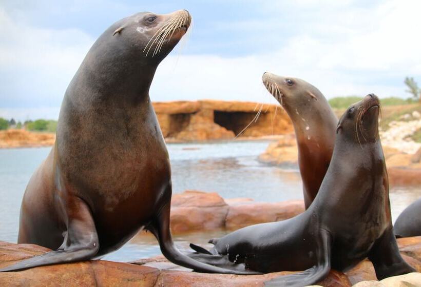 Hex Wildlife Hotel At Yorkshire Wildlife Park